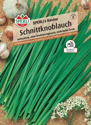 Schnittknoblauch Sperli 's Knolau