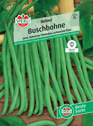 Sperli Buschbohne Delinel