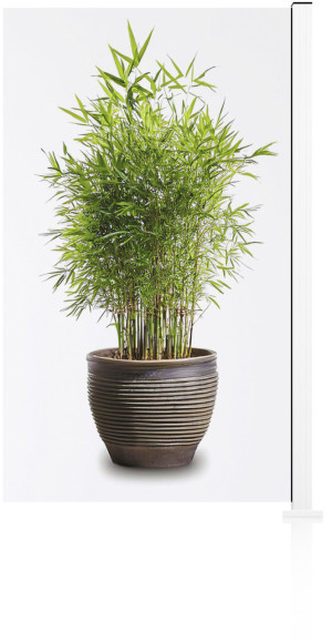 Ambiente Glaszaun Erweiterungsset Klarglas 187 x 107,2 cm weiß