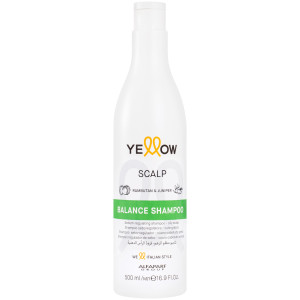Alfaparf YELLOW Balance - Szampon do włosów przetłuszczających się, 500ml