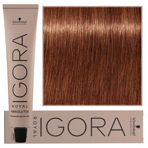 Schwarzkopf Professional Igora Royal Absolutes - trwała farba do włosów z kolagenem, 60ml 7-560 | Średni Blond Złoto Czekoladowo Naturalny