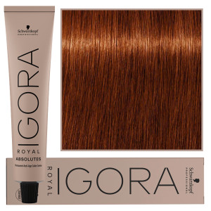 Schwarzkopf Professional Igora Royal Absolutes - trwała farba do włosów z kolagenem, 60ml 6-70 | Ciemny Blond Miedziany Naturalny