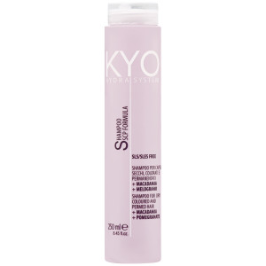 KYO Hydra System Dry Coloured Hair Shampoo - szampon dla włosów suchych i po koloryzacji, 250ml