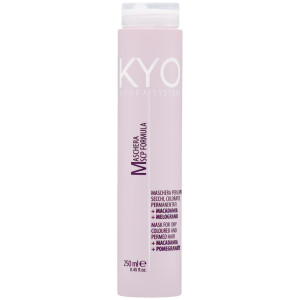KYO Hydra System Dry Coloured Hair Mask - regenerująca maska do włosów po koloryzacji, 250ml