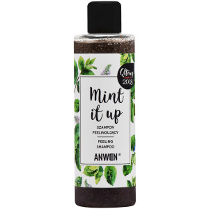 Anwen Mint It Up orzeźwiający szampon z peelingiem 200 ml