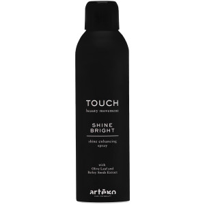 Artego Touch Shine Bright - spray nabłyszczający zapobiega puszeniu się i elektryzowaniu, 250ml