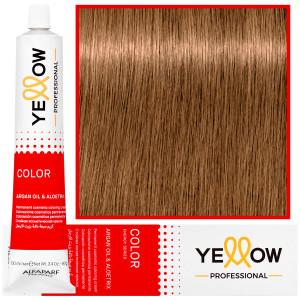 Alfaparf Yellow - trwała farba do włosów z aloesem i kiełkami pszenicy, 100ml 8,13 | Jasny Popielaty Złoty Blond