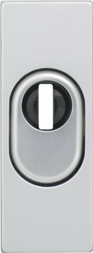 ABUS RSZS Schutzrosette mit Zylinderschutz Silber F1