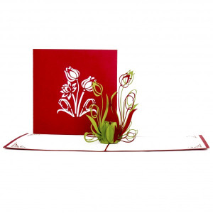 Colognecards Pop-Up Karte Tulpen rot