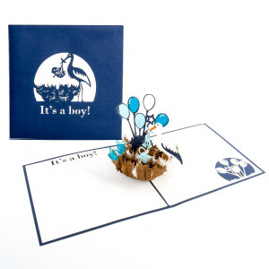 Colognecards Pop-Up Karte Storchennest Its a Boy