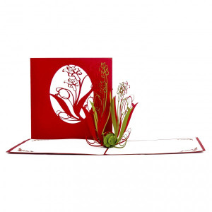 Colognecards Pop-Up Karte Schwertlilien rot