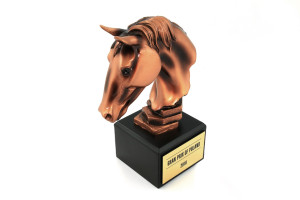 Statuetka JEŹDZIECTWO - atrakcyjna figurka odlewana - wysokość 18,5cm - FOL085