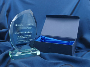 Trofeum szklane w etui - INES