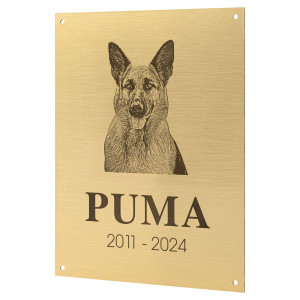 Mosiężna tabliczka pamiątkowa z grawerem - mosiądz szczotkowany i lakierowany - wym. 150x200 mm - TAB681