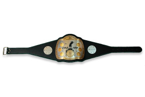 PAS MISTRZOWSKI - INTERNATIONAL PIGEON RACE - P015