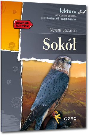 Sokół