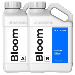 ATHENA BLOOM AB 946ml