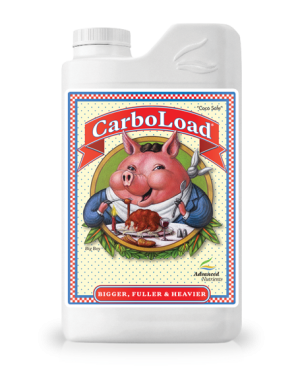 PROMOCJA CARBOLOAD 10L