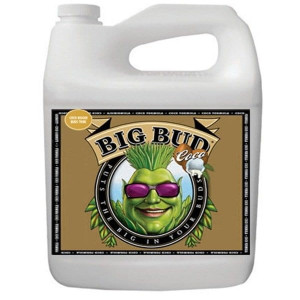 PROMOCJA BIG BUD COCO 10L - akcelerator kwitnienia
