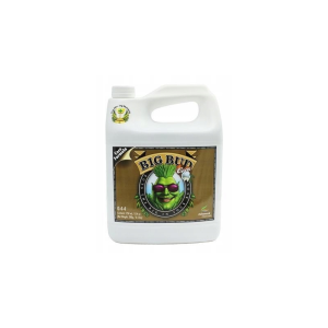 PROMOCJA BIG BUD COCO 250ml - akcelerator kwitnienia