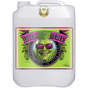 PROMOCJA BIG BUD 10L - Stymulator Kwitnienia