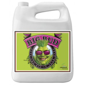 PROMOCJA BIG BUD 4L - Stymulator Kwitnienia