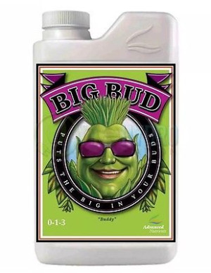 PROMOCJA BIG BUD 500ml - Stymulator Kwitnienia