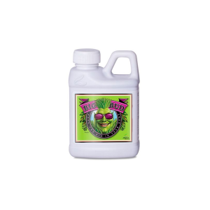 PROMOCJA BIG BUD 250ml - Stymulator Kwitnienia, nawóz (Fosfor, Potas, Magnez)