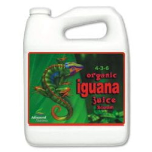 PROMOCJA ORGANIC IGUANA JUICE BLOOM 4L