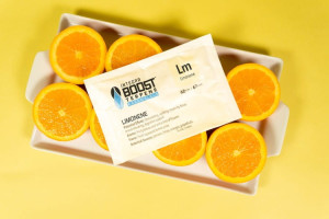 Integra Boost 67g 62% Terpene Essentials Limonene
