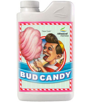 PROMOCJA BUD CANDY 500ml - dostarcza magnez