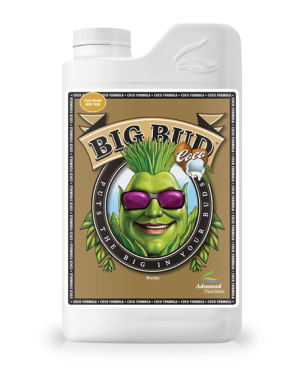 PROMOCJA BIG BUD COCO 500ml - akcelerator kwitnienia