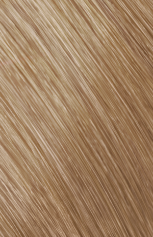 Goldwell Topchic New Grey Bus 9N@BP 250ml