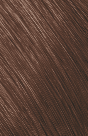 Goldwell Topchic Hair Color Bus 6GB 250ml