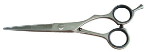 Kyone 480 College Line knip 5,5 inch Zilver 5,5inch