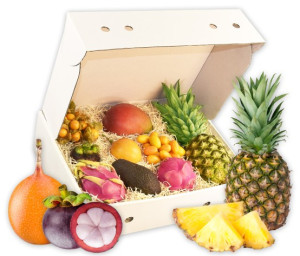 Obst-Geschenkbox Exotisches Paradies von Hansen Obst