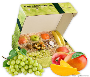 Obst-Geschenkbox Wellness von Hansen Obst