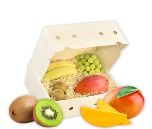 Obst-Geschenkbox Fruchtmix von Hansen Obst