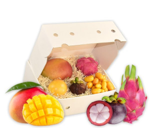 Obst-Geschenkbox Exotisches Abenteuer von Hansen Obst