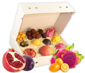 Obst-Geschenkbox Exotische Schatzkiste von Hansen Obst