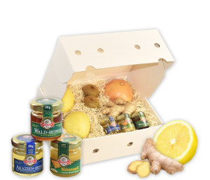 Obst-Geschenkbox Gute Besserung von Hansen Obst
