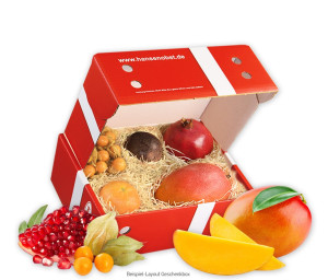 Obst-Geschenkbox Exotica von Hansen Obst