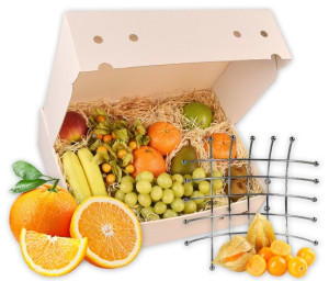 Obst-Geschenkbox Obstkorb Metall von Hansen Obst