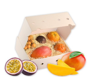 Obst-Geschenkbox Tropical von Hansen Obst