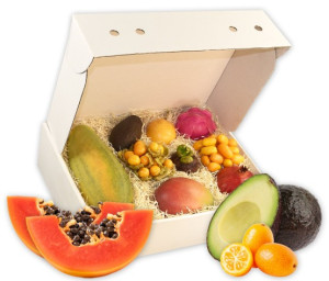 Obst-Geschenkbox Exotische Genusswelt von Hansen Obst