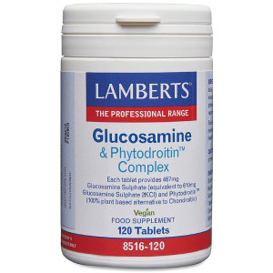 Lamberts Glucosamine and Phytodroitin Complex - 120 tabs