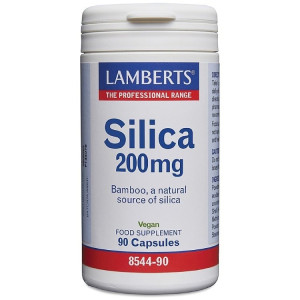 Lamberts Silica 200mg - 90 Caps