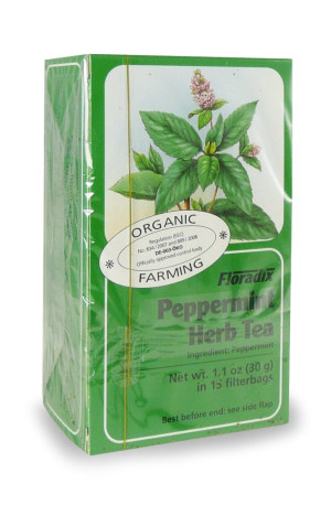 Salus Peppermint - 15 TBags
