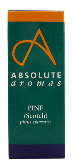 Absolute Aromas Pine Scotch - 10ml
