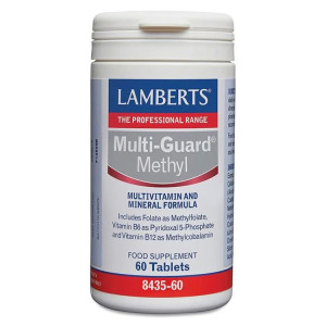 Lamberts Multi Guard Methyl - 60 tabs